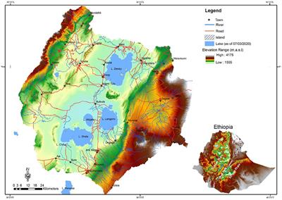 Review: Groundwater research in the Ethiopian Rift Valley Lakes region